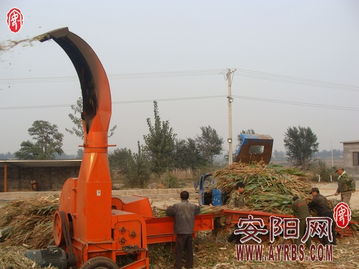 搶抓農(nóng)時促轉(zhuǎn)化，市畜牧局多措并舉推廣秸稈青貯飼料助力畜牧漁業(yè)降本增效